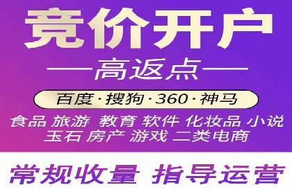 SEM代运营托管公司案例深度解读
